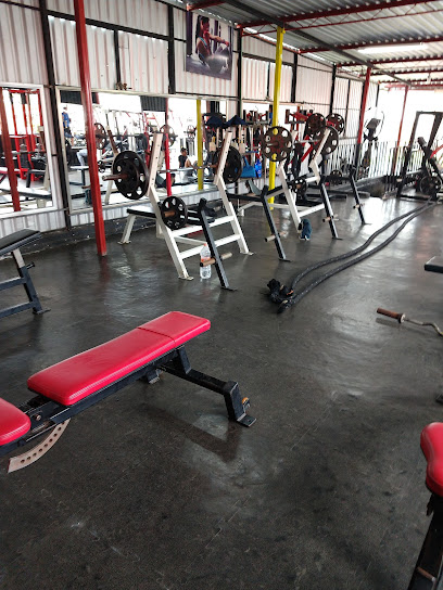 OVANDO GYM