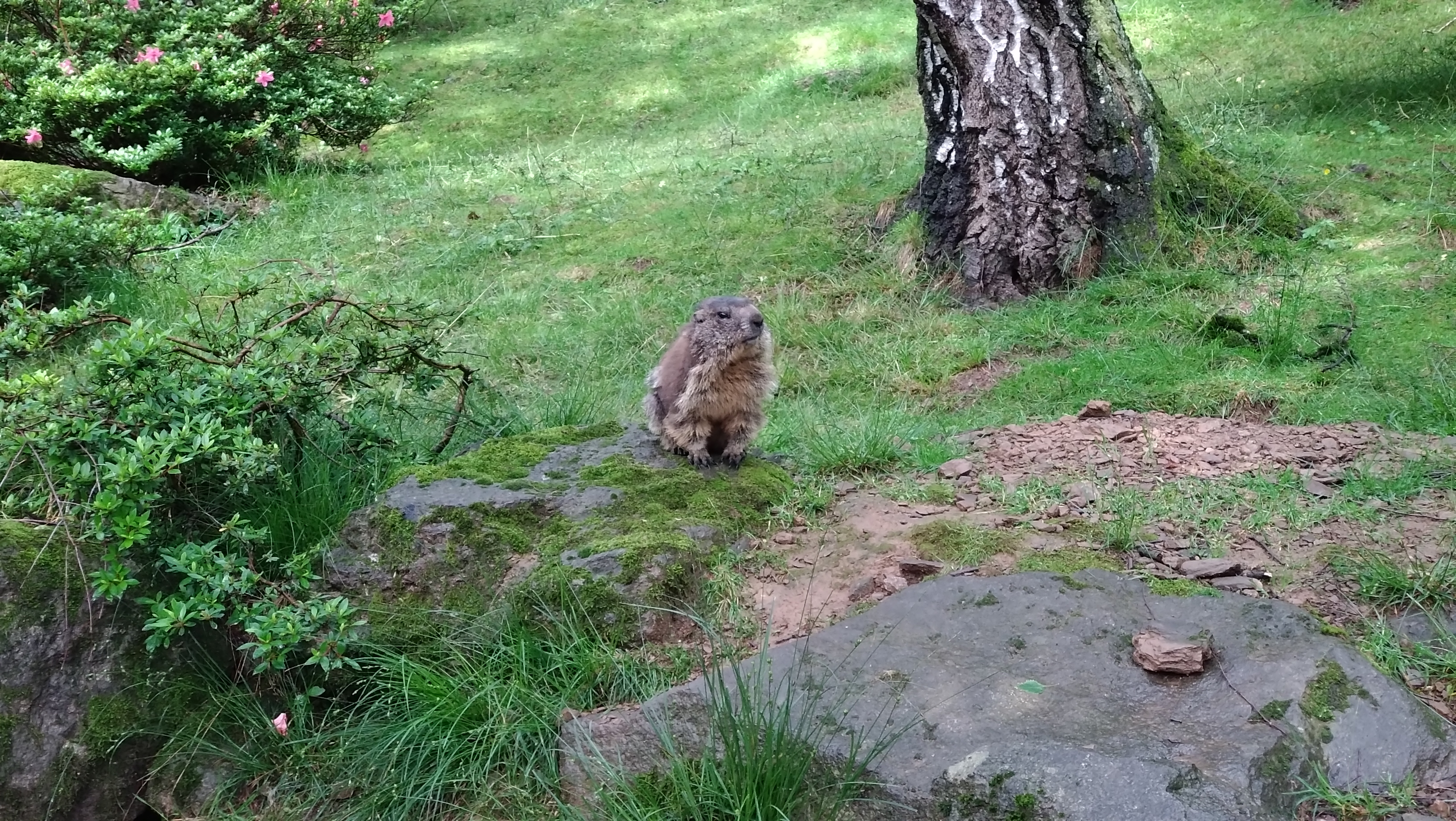 Photo n° 8 de l'avis de David.e fait le 28/05/2023 à 11:55