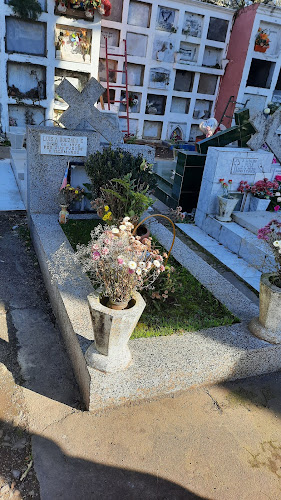 Opiniones de Cementerio Municipal Bulnes en Bulnes - Servicio de transporte