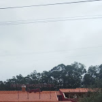 Photo n°5 de l'avis de Sergio.a fait le 08/01/2023 à 14:15 sur le  Porrinhas dos Leitões à Salir do Porto