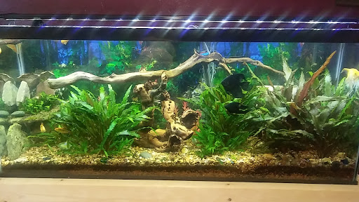 Pet Supply Store «PetSmart», reviews and photos, 1734 Walden Ave, Cheektowaga, NY 14225, USA