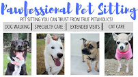 Pawfessional Pet Sitting - Photo 1 - Car repair in , Galveston