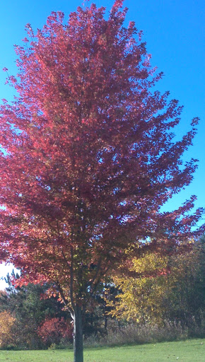 Car Dealer «Stillwater Motors», reviews and photos, 5900 Stillwater Blvd N, Stillwater, MN 55082, USA