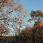 Photo n°6 de l'avis de Andreas.l fait le 16/11/2018 à 21:13 sur le  Burg Waischenfeld à Waischenfeld