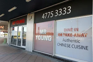 Mr Young Chinese Takeaway image