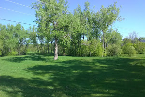 Disc Golf Hole Five Tee