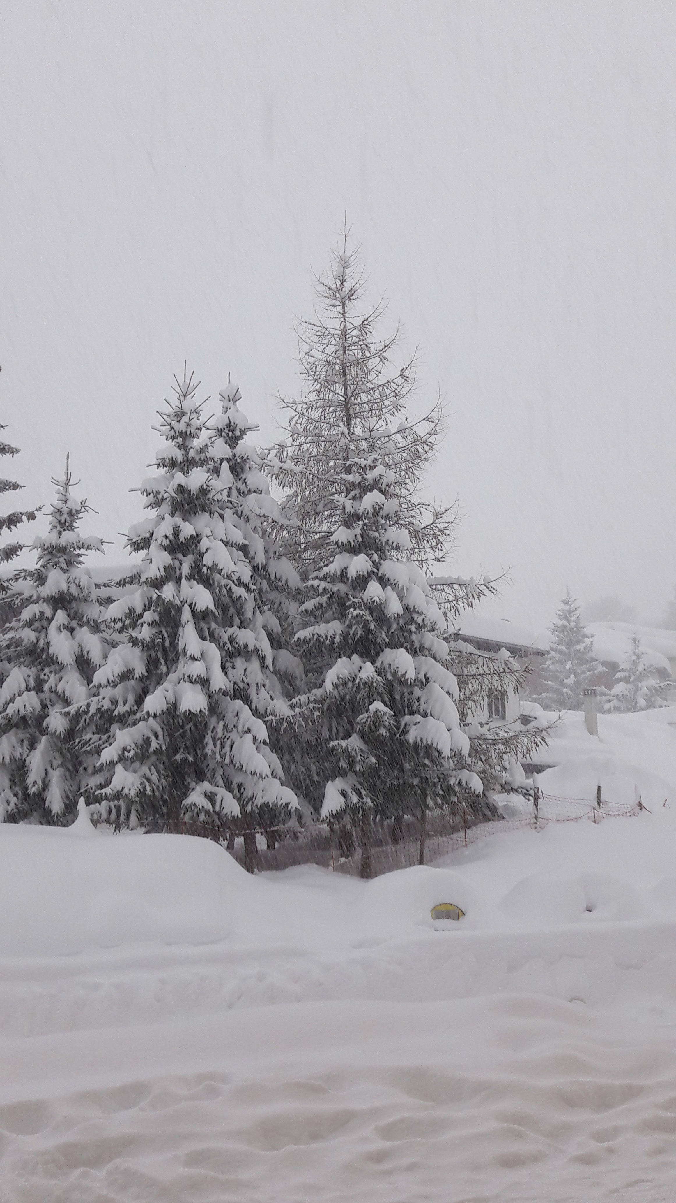 Photo n° 1 de l'avis de Vincent.a fait le 04/03/2019 à 14:33