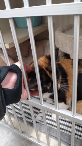 Pet Supply Store «Petco Animal Supplies», reviews and photos, 1220 Commons Cir, Plover, WI 54467, USA