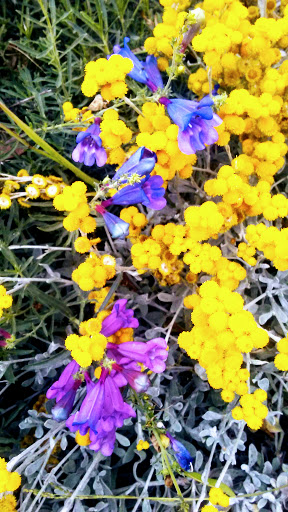 Shopping Mall «Dr. Martin Luther King Jr. Shopping Center», reviews and photos, 1601 E 103rd St, Los Angeles, CA 90002, USA