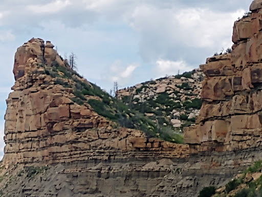 Archaeological Site «Cliff Palace», reviews and photos