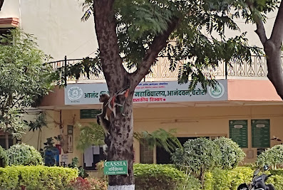 Anand Niketan College of Agriculture