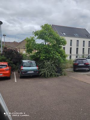 Parking de la fontaine à Paray-le-Monial