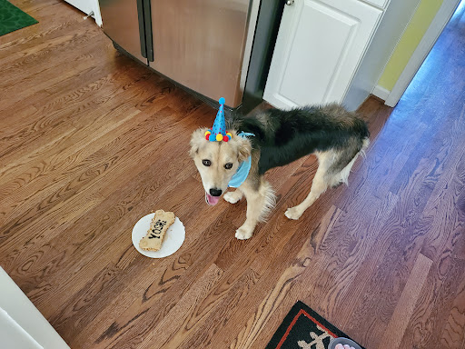 Pet Supply Store «Three Dog Bakery Inc», reviews and photos, 3929 Chenoweth Square, Louisville, KY 40207, USA