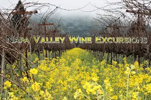 Napa Valley Wine Excursions image