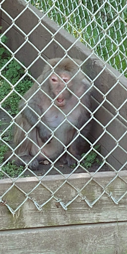 Zoo «Cricket Hollow Zoo», reviews and photos, 1512 210th St, Manchester, IA 52057, USA