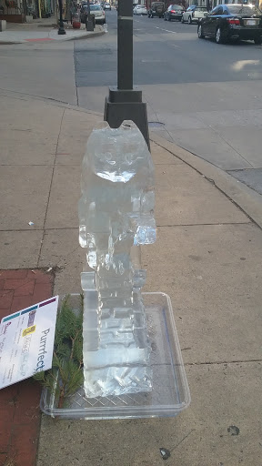 Record Store «The Record Exchange», reviews and photos, 151 N Market St, Frederick, MD 21701, USA