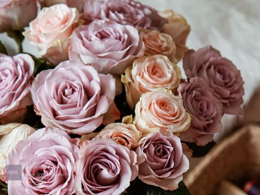 Florist «Neffsville Flower Shoppe», reviews and photos, 2700 Lititz Pike, Lancaster, PA 17601, USA