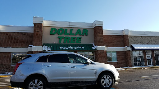 Dollar Store «Dollar Tree», reviews and photos, 950 American Legion Hwy, Boston, MA 02131, USA
