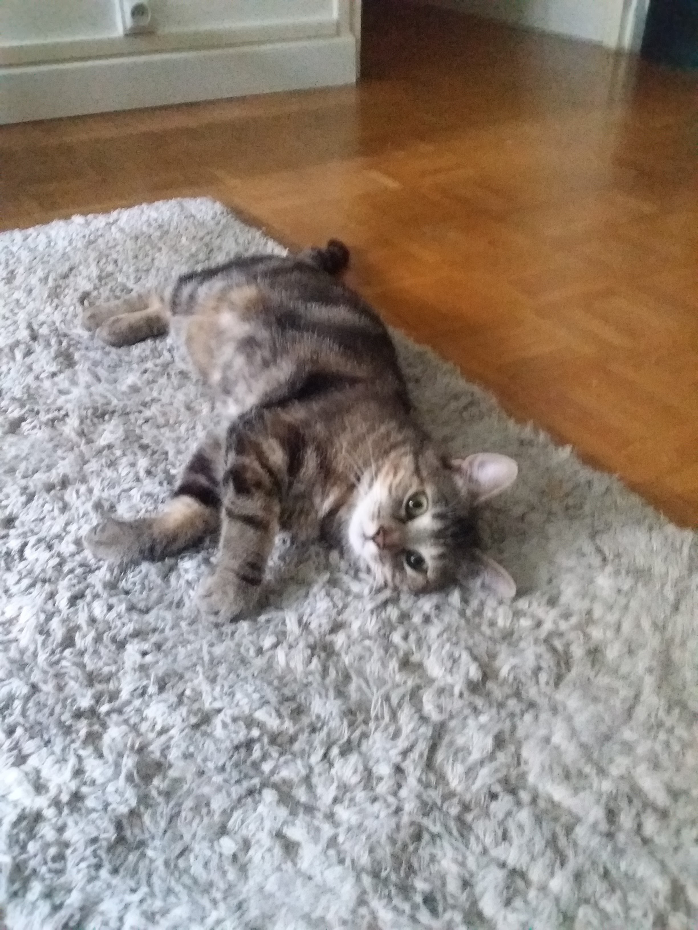 Photo n° 1 de l'avis de Valérie.i fait le 23/06/2023 à 17:12