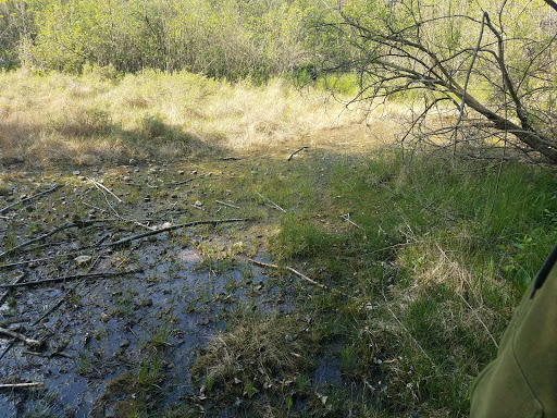 Nature Preserve «Jackson Bog State Nature Preserve», reviews and photos, 7984 Fulton Dr NW, Massillon, OH 44646, USA