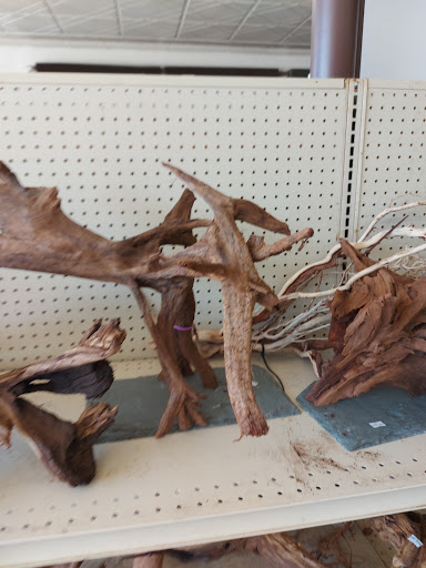 Tropical Fish Store «Tropi-Quatics Pet Center», reviews and photos, 337 S Main St, Lombard, IL 60148, USA