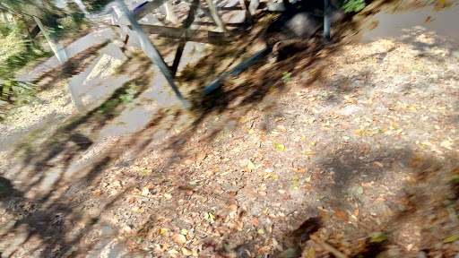 Farm «Sweetwater Organic Community Farm», reviews and photos, 6942 W Comanche Ave, Tampa, FL 33634, USA