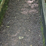 Photo n° 10 de l'avis de Fadella.R fait le 20/08/2023 à 14:38 pour Ferme de Chosal parcours pied nu à Copponex