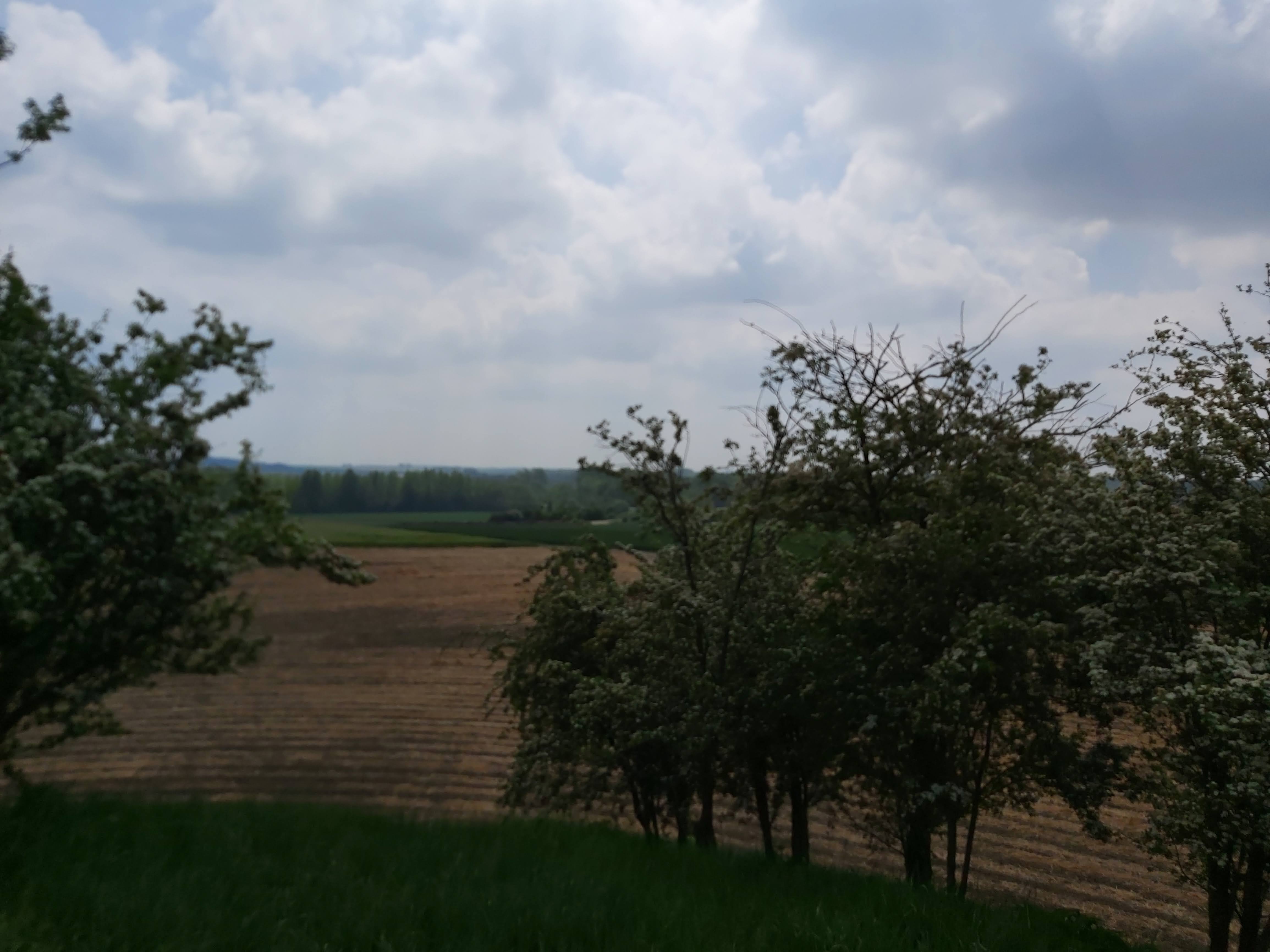 Photo n° 4 de l'avis de Gregory.e fait le 19/05/2022 à 15:31