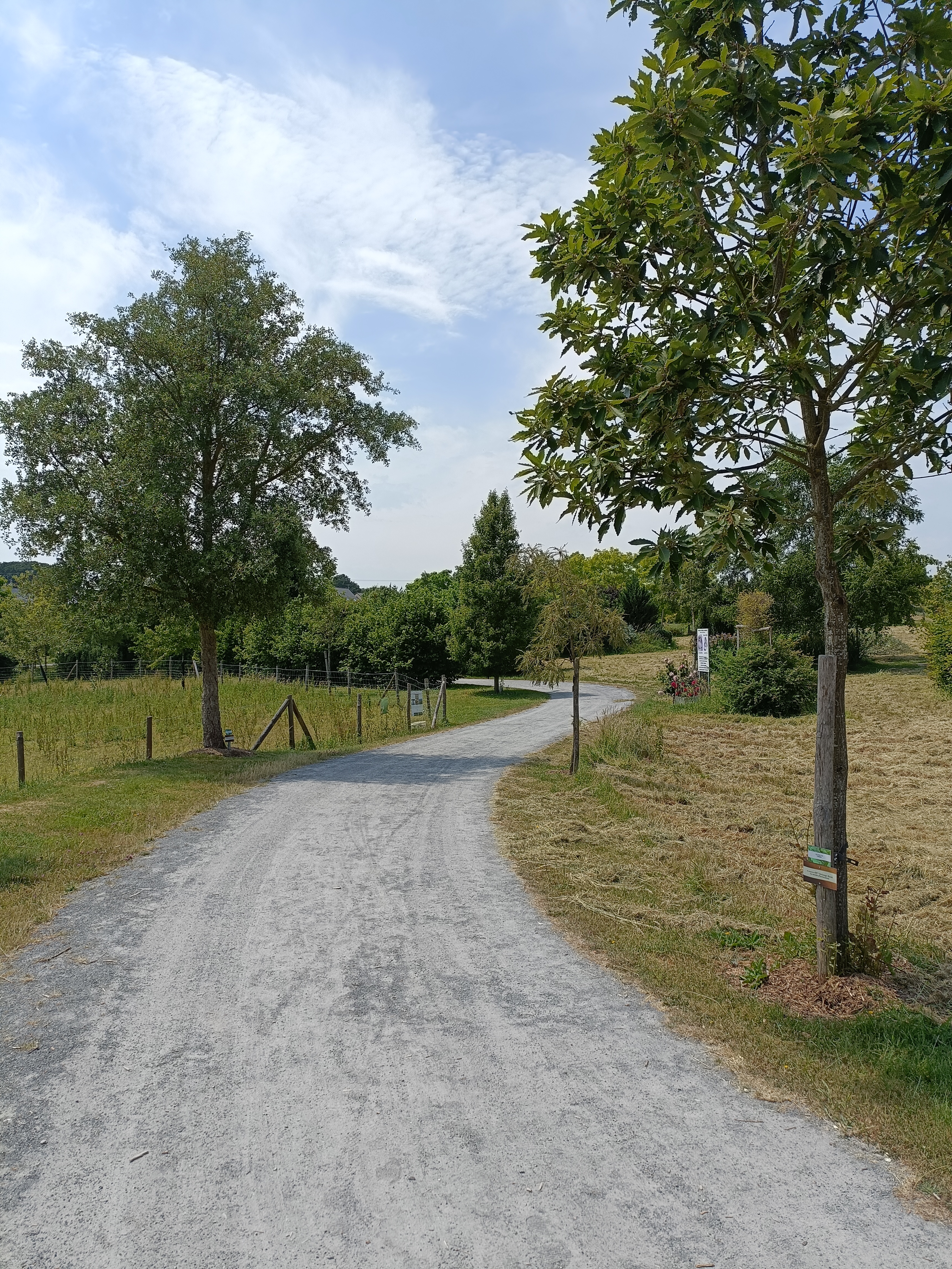 Photo n° 3 de l'avis de Anne.e fait le 09/06/2023 à 17:17