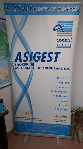 Opinii despre Asigest în <nil> - Companie de Asigurari