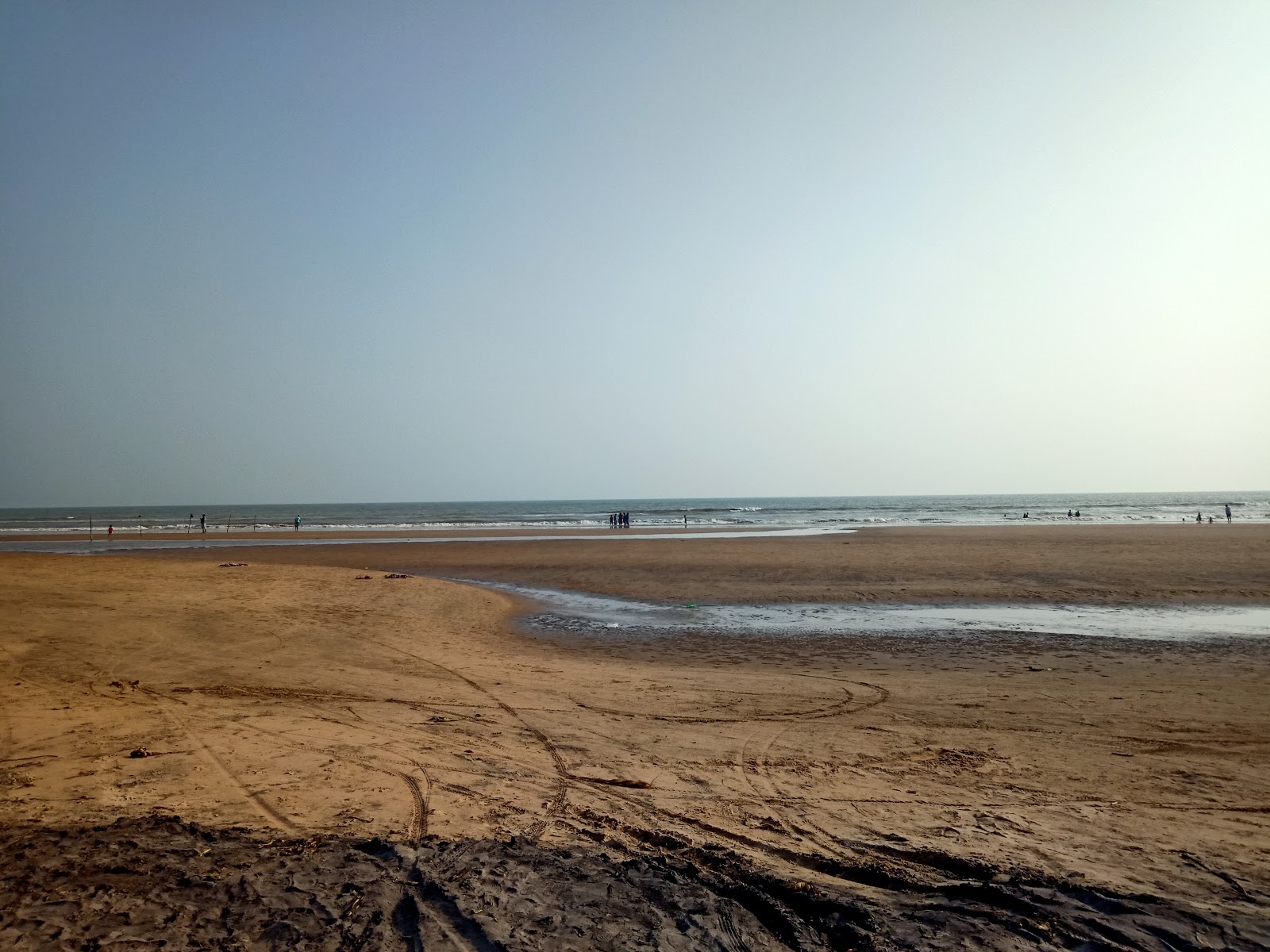 Gollapalem Beach'in fotoğrafı vahşi alan
