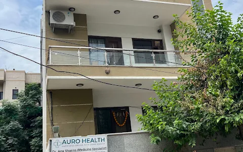 Auro Health Clinic, Dr Anu Sharma(Gold Medalist) | Best General Physician, Infection & Diabetes Specialist in Gurgaon image