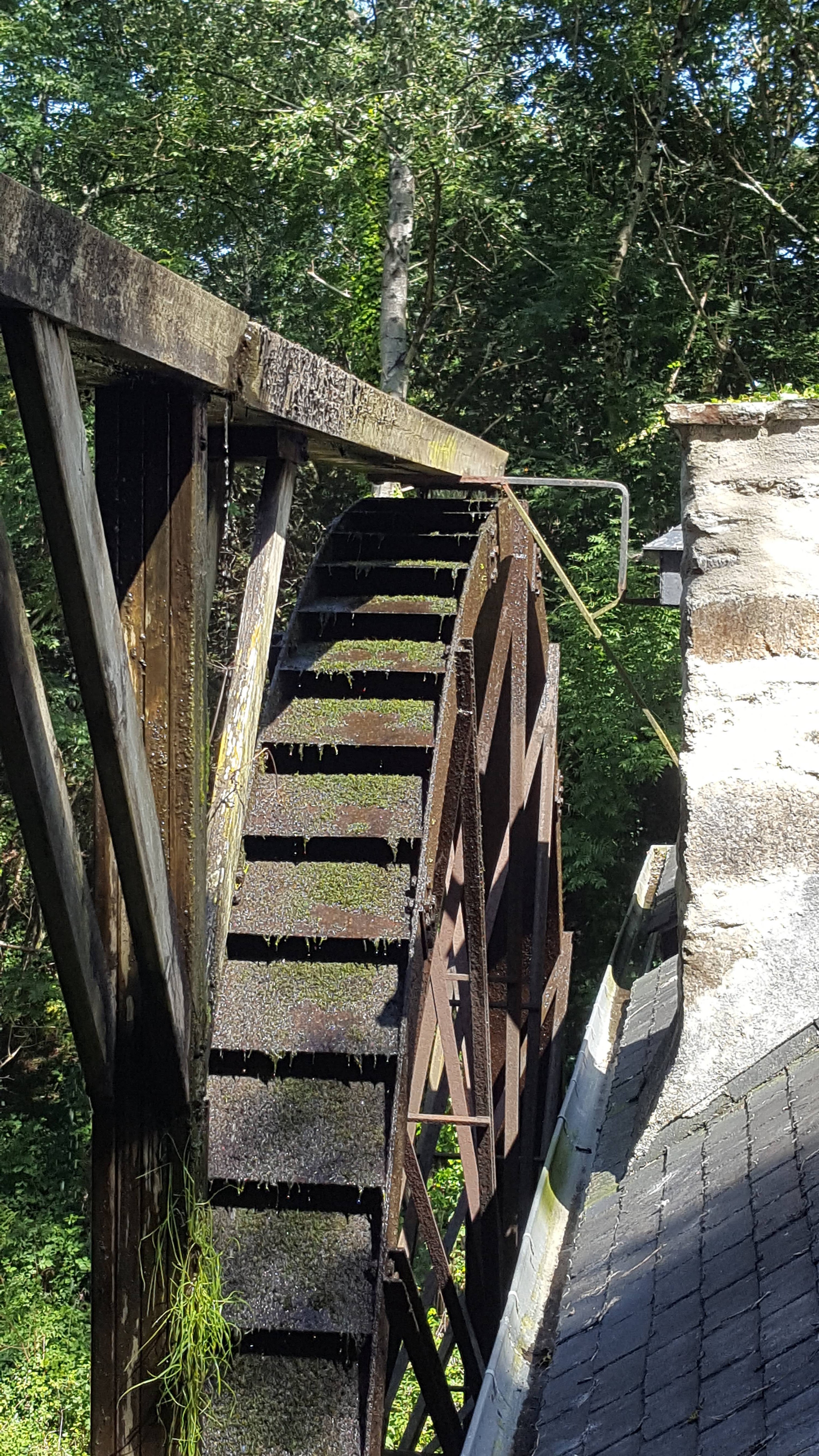 Photo n° 4 de l'avis de Gilles.. fait le 19/08/2019 à 12:19