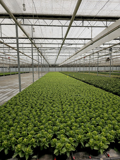 Tuğrul Seracılık ve Tarım