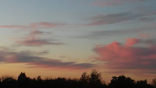 Golf Course «Page Belcher Golf Course», reviews and photos, 6666 S Union Ave, Tulsa, OK 74132, USA