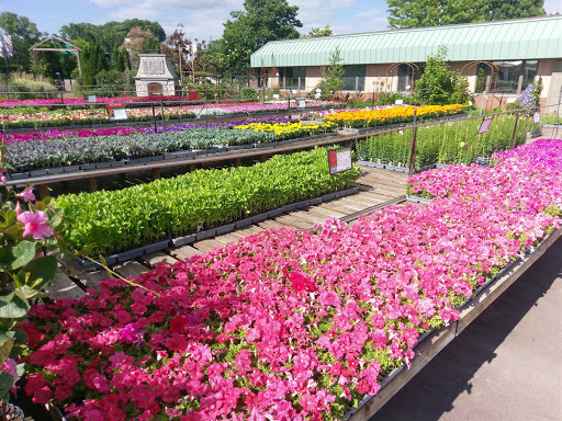 Stores to buy outdoor plants Minneapolis