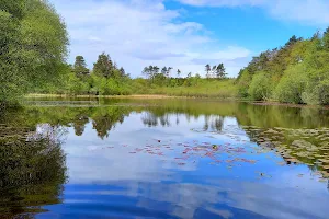 Hensol Forestry Car Park image