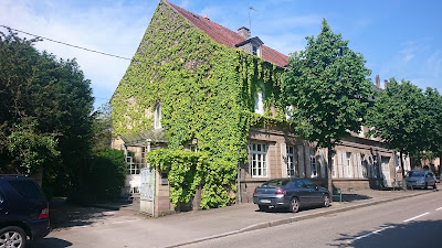 Dr NIEDERGANG Gilles à Sarre-Union