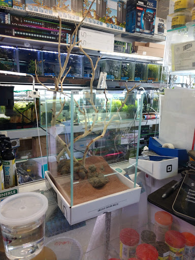 Pet Supply Store «Lotus Aquarium», reviews and photos, 14704 Hawthorne Blvd, Lawndale, CA 90260, USA