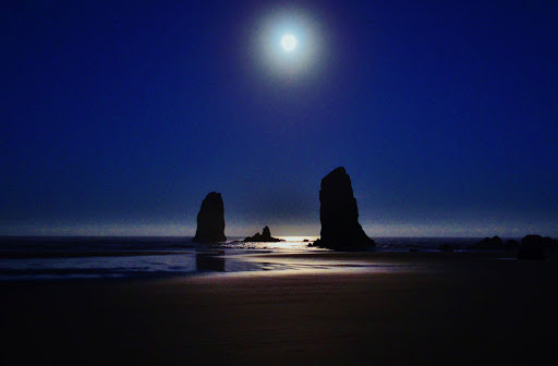 Coffee Shop «Bald Eagle Coffee House», reviews and photos, 1064 S Hemlock St, Cannon Beach, OR 97110, USA