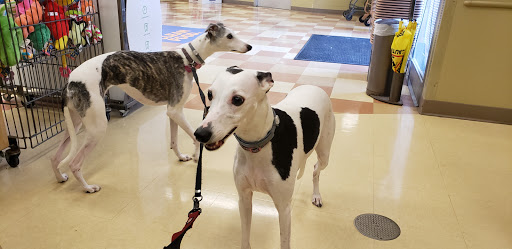 Pet Supply Store «Petco Animal Supplies», reviews and photos, 4540 Princess Anne Rd #128, Virginia Beach, VA 23462, USA