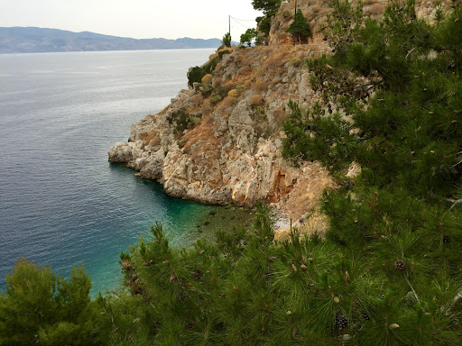 Travel Agency «BNT Travel Group», reviews and photos, 703 Brighton Beach Ave, Brooklyn, NY 11235, USA