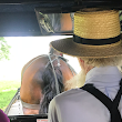 Aaron and Jessica’s Amish Buggy Rides