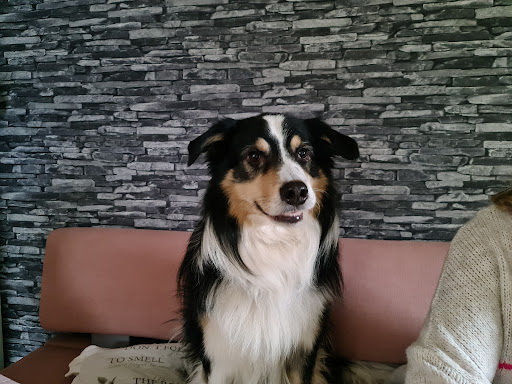 Dr. Karen Rühmann unter Neumünster, Schleswig-Holstein