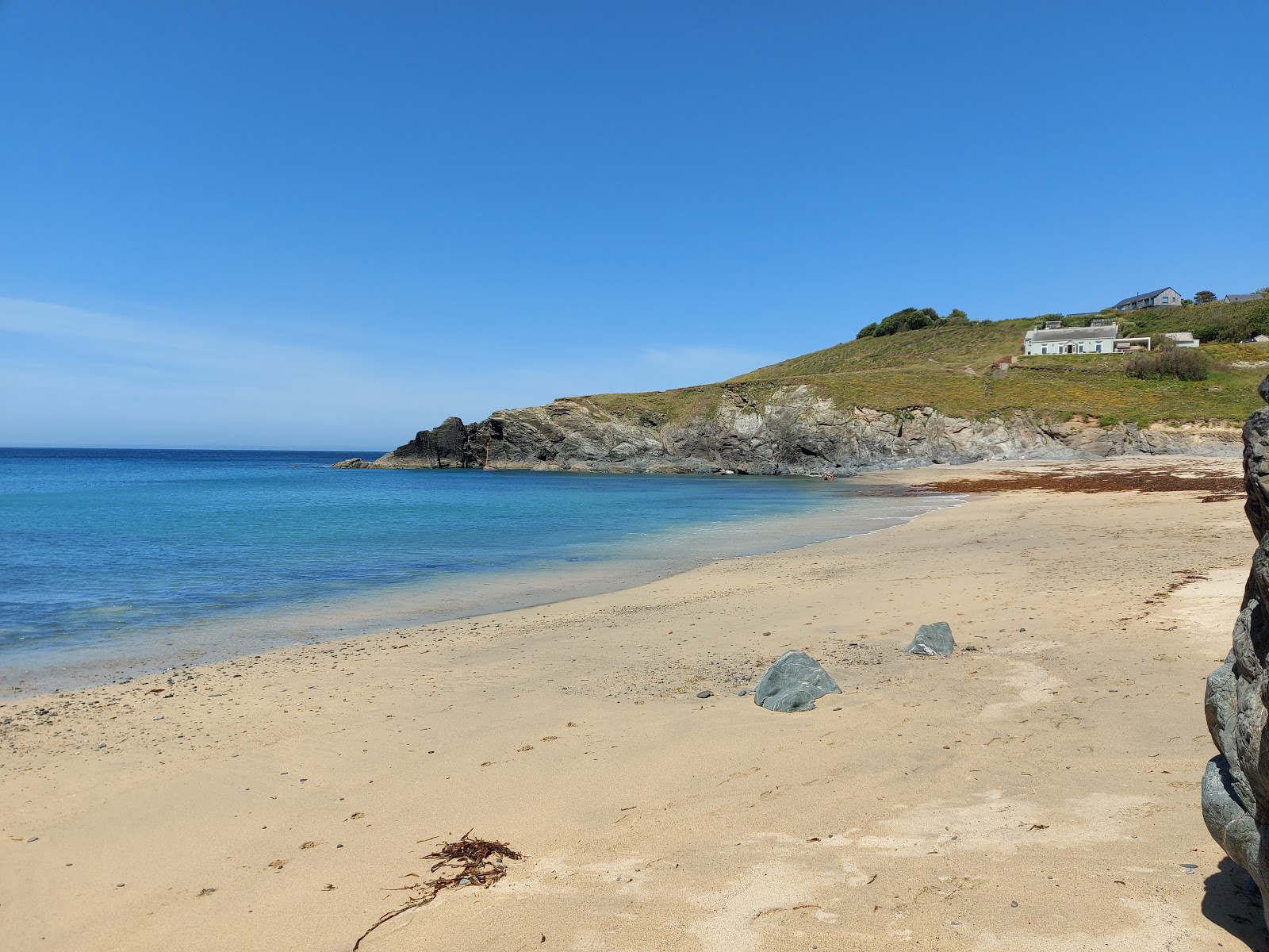 Φωτογραφία του Polurrian beach με καθαρό νερό επιφάνεια