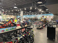 Trek Bicycle Cambridge - Photo 8 - Car repair in Cambridge, MA, Boston