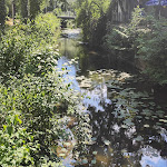 Photo n°2 de l'avis de Rene.a fait le 16/11/2019 à 17:58 sur le  Weisses Bräuhaus Kelheim (Restaurant) à Kelheim