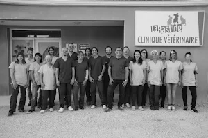 veterinarian of the Bastide de l'Isle Clinic image
