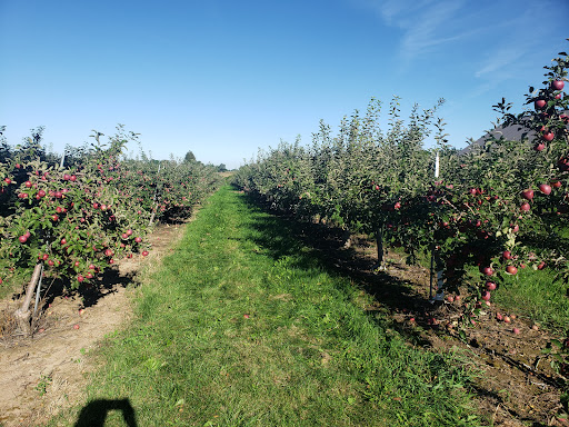Orchard Home Farm
