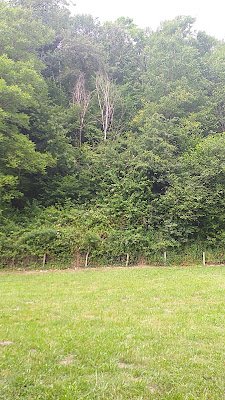 C.C.A.S. Colonie de Vacances de Lacombrade (Caisse Centrale d'Activités Sociales) à Campan